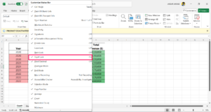 Microsoft-Excel-2-300x160-1
